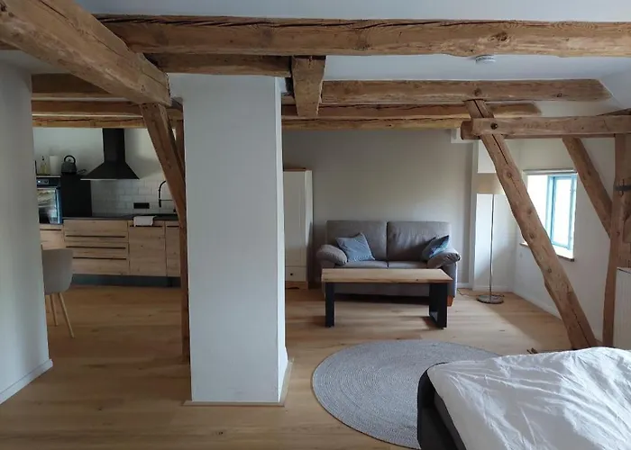 Alte Scheune - 4 公寓 *